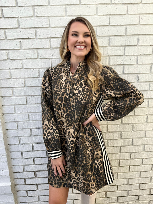 Leopard Print With Stripe Dress