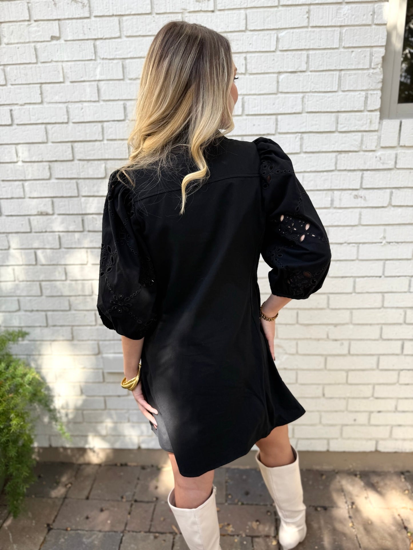 Aimee Eyelet Sleeve Dress