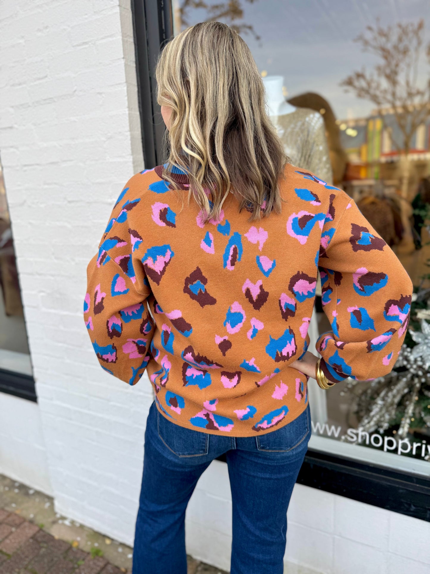 Animal Pattern V - neck Sweater - Private Gallery Boutique