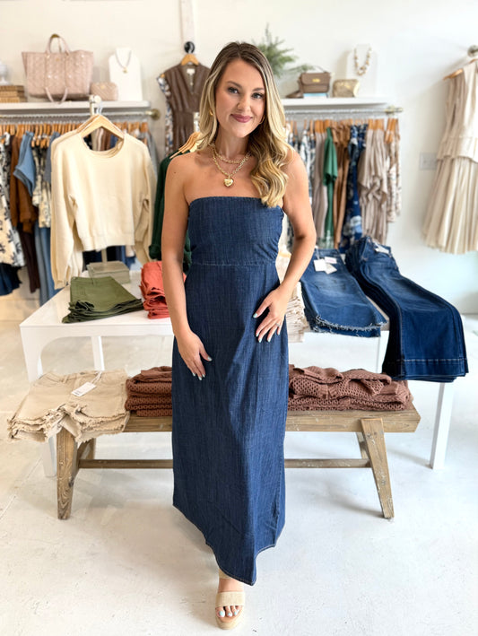 Elliot  Denim Maxi Dress