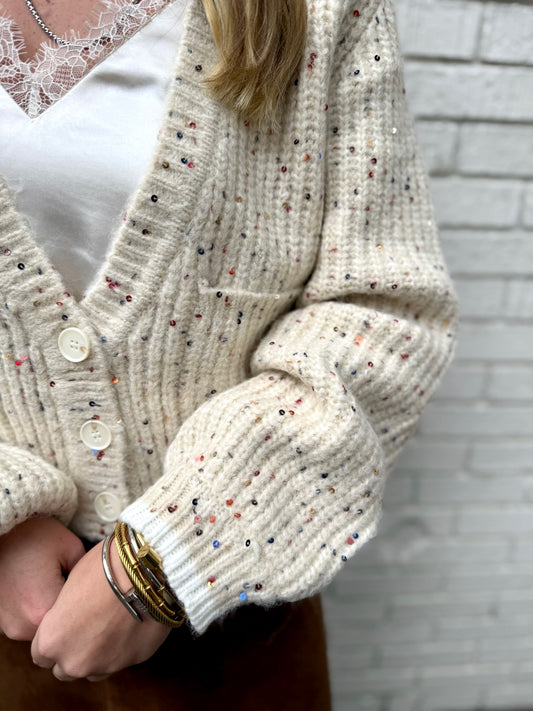 Ivory Sequin Cardigan