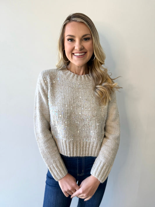 Glacier Grey Sequin Sweater