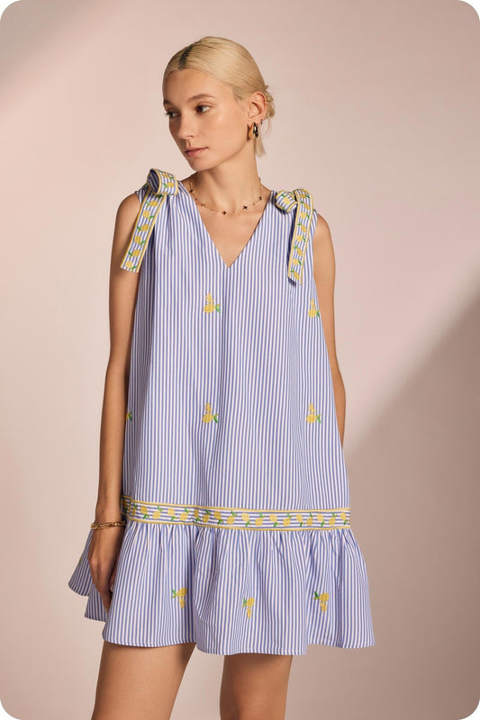 Maria Lemon Embroidered Stripe Mini Dress