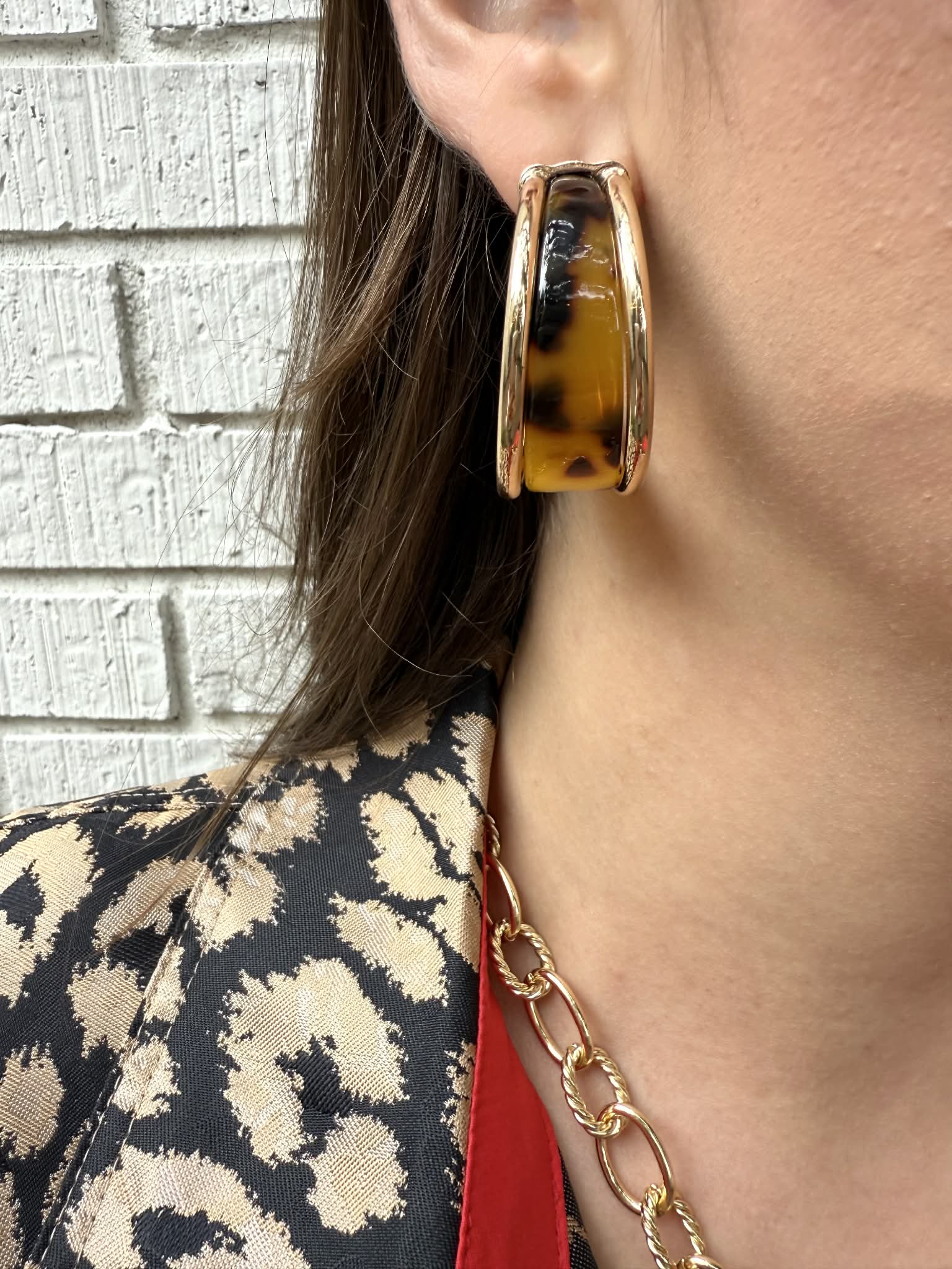 Gradual Acetate Hoops - Private Gallery Boutique